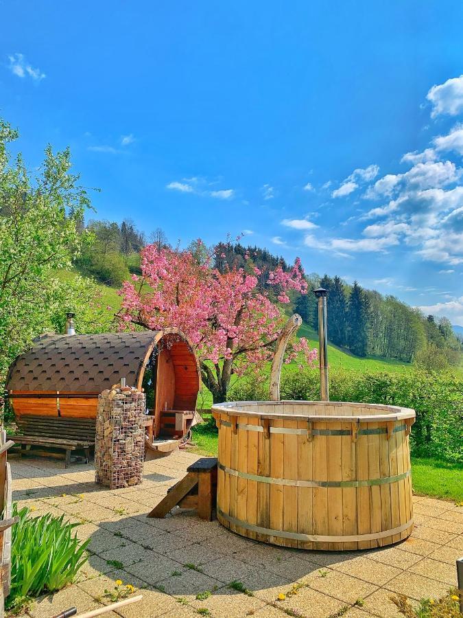 Hotel Garni Wieshof كيرشبرغ ان تيرول المظهر الخارجي الصورة